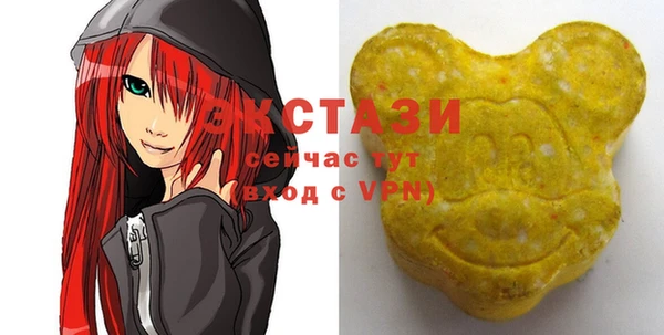 ECSTASY Богородицк