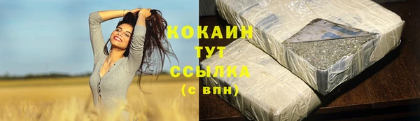 амф Богданович