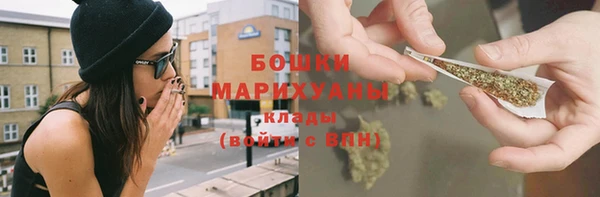 mdpv Богородск