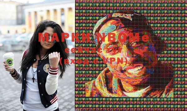 ECSTASY Богородицк